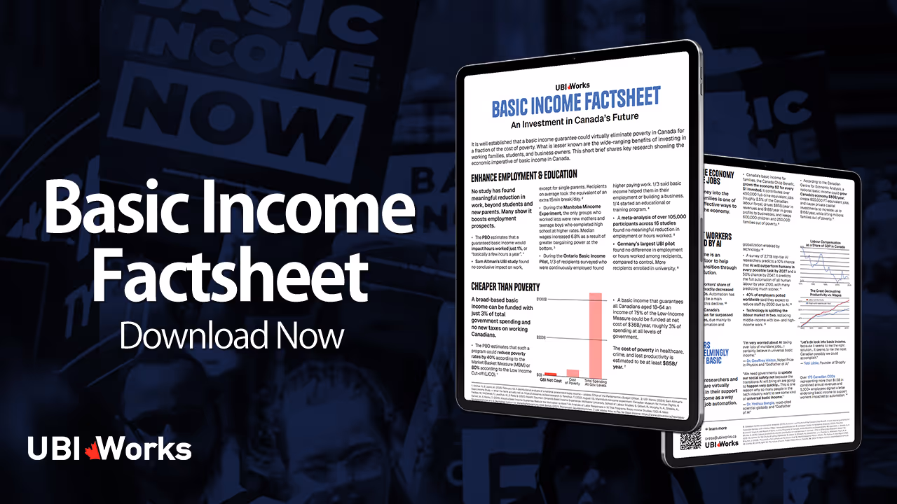 Basic income explained